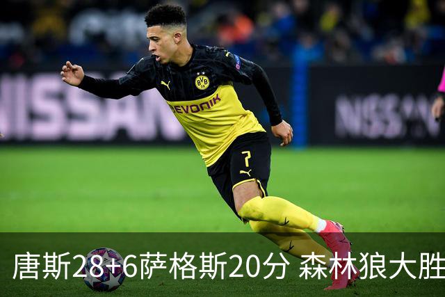 唐斯28+6萨格斯20分 森林狼大胜终结魔术连胜