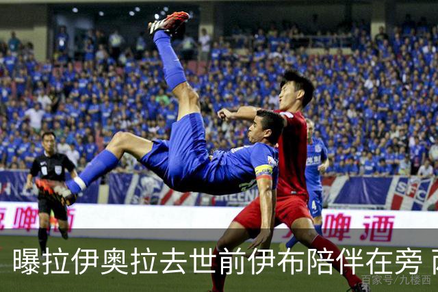 曝拉伊奥拉去世前伊布陪伴在旁 两人合作多年